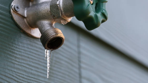Best Sewer Line Repair  in Hlsboro, IL