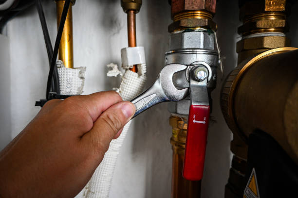 Best Drain Cleaning Services  in Hlsboro, IL